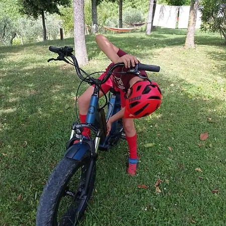 Il Bacucco Montecarotto