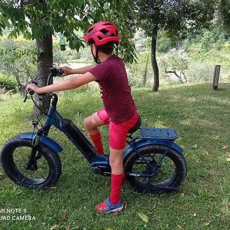Agriturismo Il Bacucco Farm stay