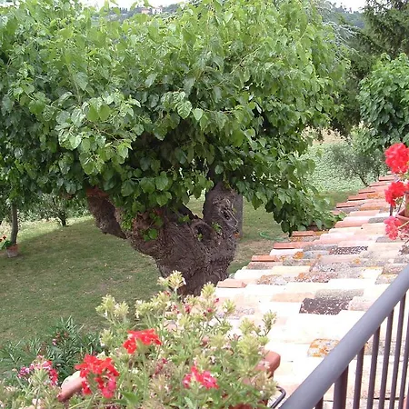 Agriturismo Il Bacucco