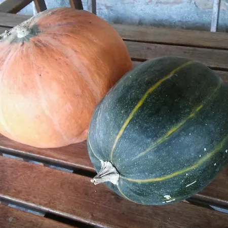 Il Bacucco Farmház *