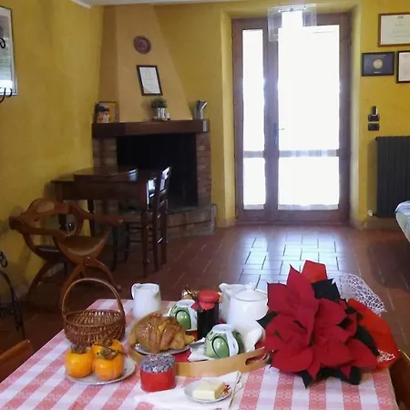Agriturismo Il Bacucco Farm stay *