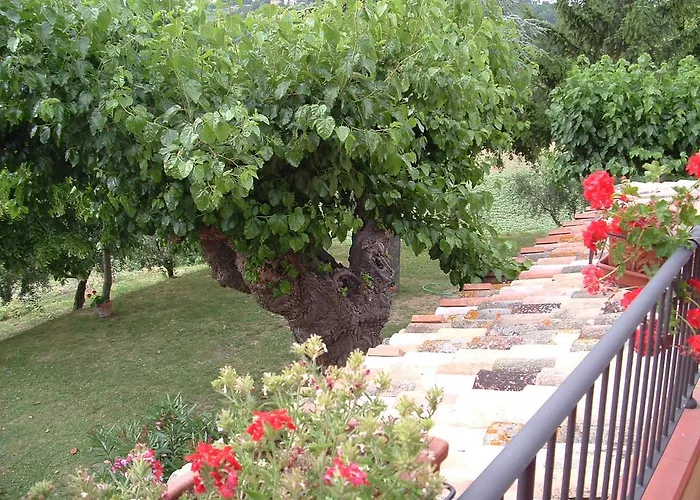 Agriturismo Il Bacucco